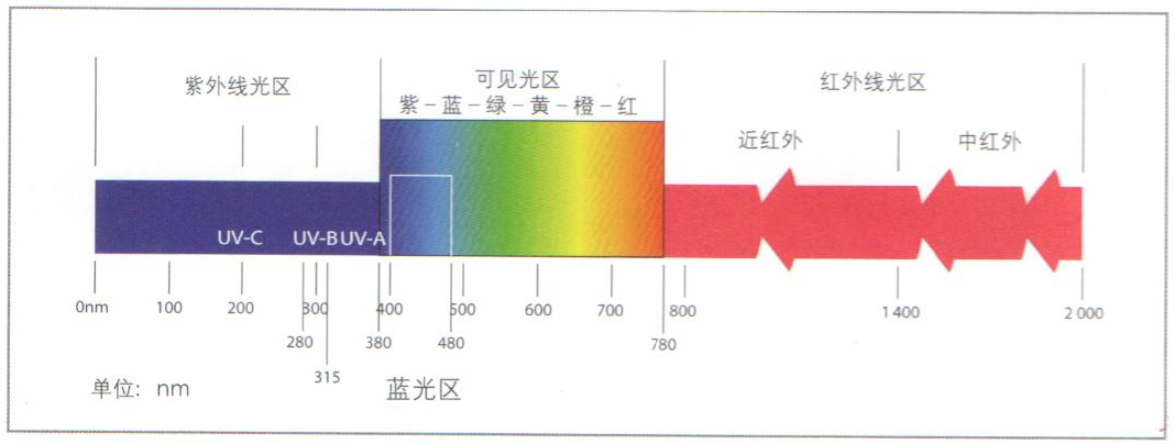 头面部防护